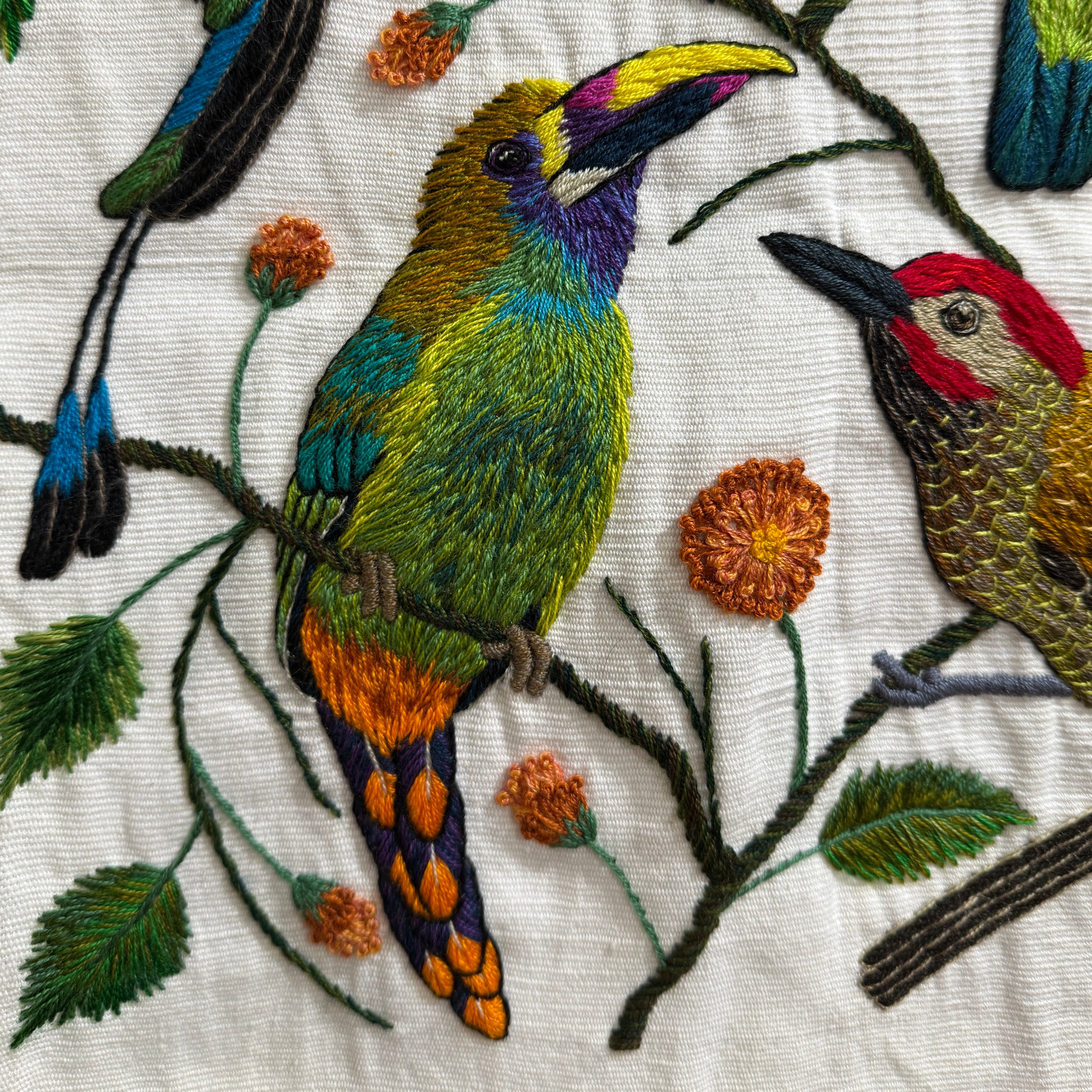 Bird Hand Embroidery on Cotton Guatemala (15" x 15")