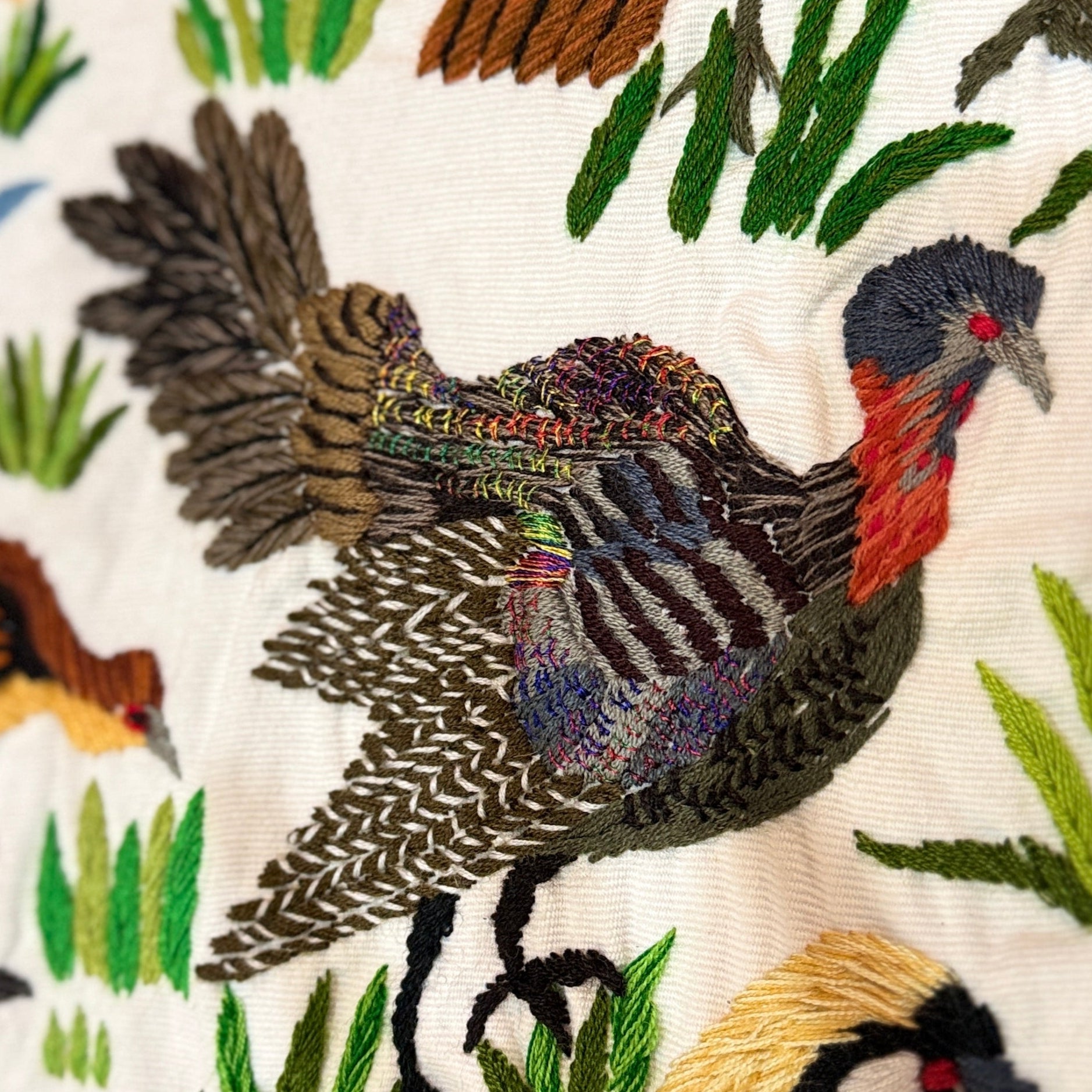 Bird Hand Embroidery on Cotton Guatemala (16" x 17")