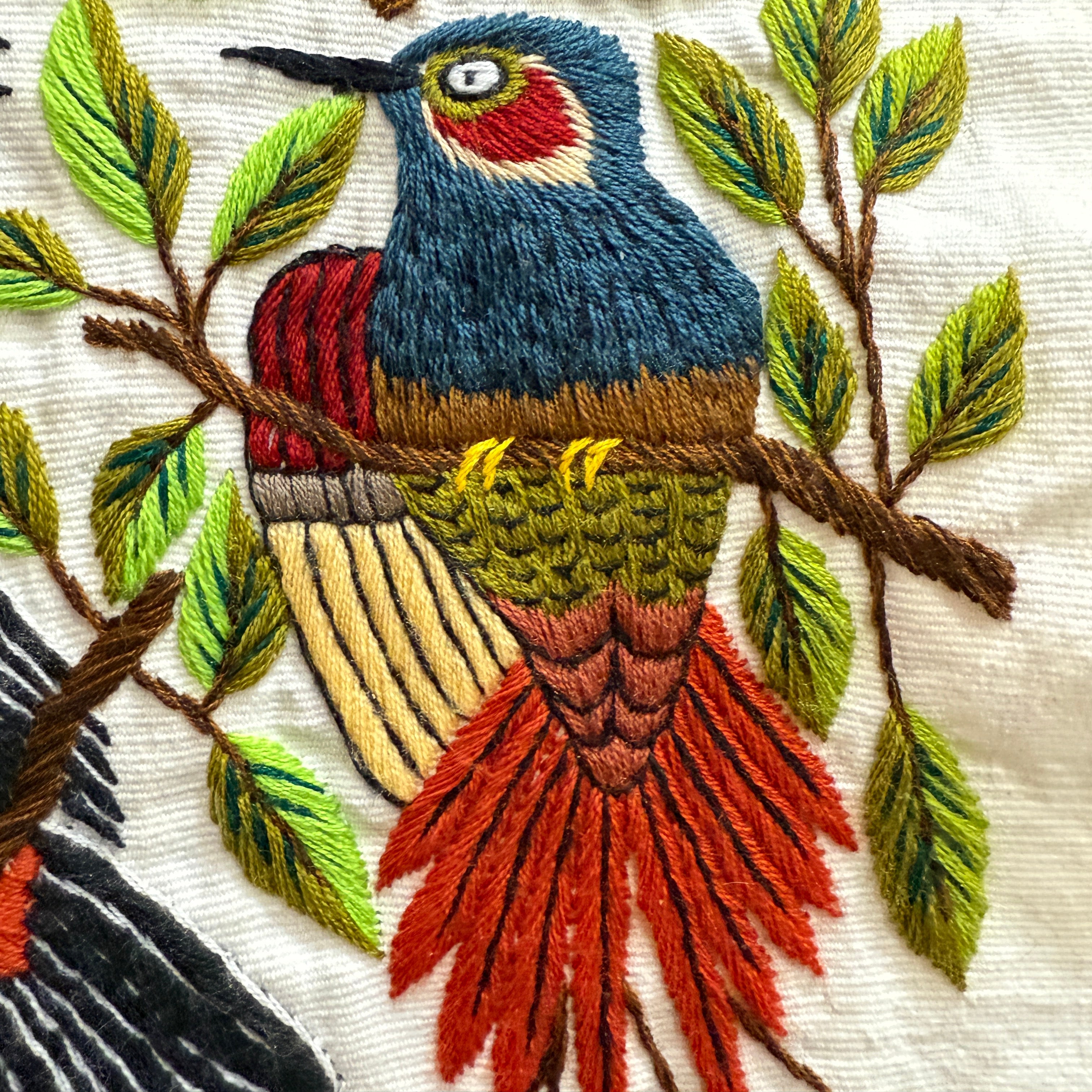 Bird Hand Embroidery on Cotton Guatemala (15" x 16")