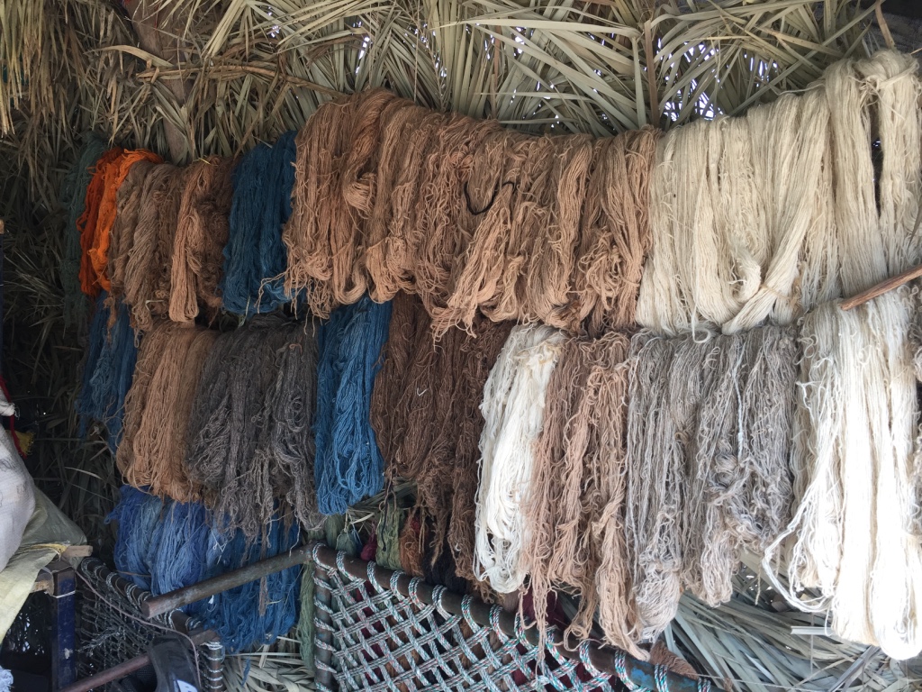Shyamji and his group are passionate about natural dyes.  They use in ground indigo vats